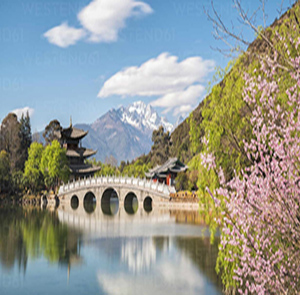 Du lịch Trung Quốc mùa Hoa Anh Đào - Côn Minh - Đại Lý - Lệ Giang - Shangrila từ Hà Nội 2025