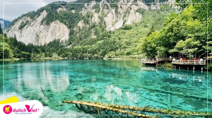 Du lịch Trung Quốc Hè - Công Viên Gấu Trúc - Cửu Trại Câu - Tùng Phan - Lạc Sơn Đại Phật từ Hà Nội 2025