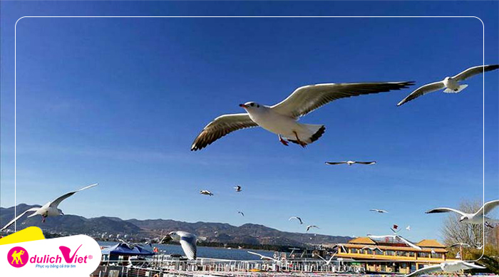 Du lịch Trung Quốc mùa Hoa Anh Đào - La Bình - Nghi Lương - Côn Minh từ Hà Nội 2025