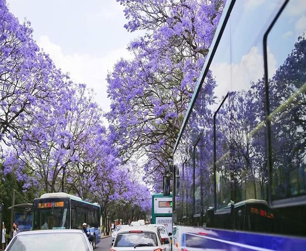 Du lịch Trung Quốc Hè - Tour Hà Khẩu - Đại Lý - Côn Minh từ Hà Nội 2025