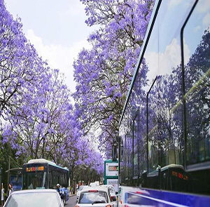 Du lịch Trung Quốc Hè - Tour Hà Khẩu - Đại Lý - Côn Minh từ Hà Nội 2025