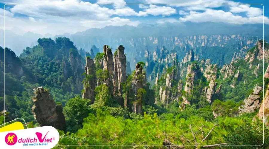 Trương Gia Giới