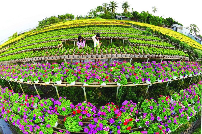 Khám phá vẻ đẹp sông nước Miền Tây trong dịp Tết Dương Lịch 2026