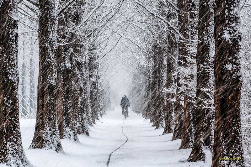 Đảo Nami vào mùa đông, một điểm đến lãng mạn