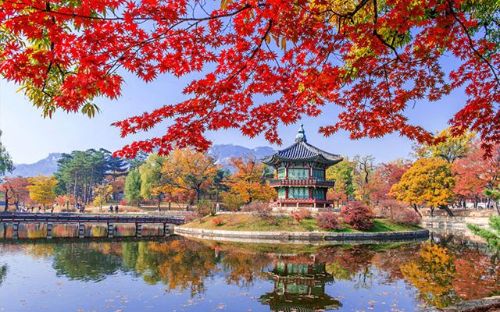 Du lịch Hàn Quốc mùa thu này có điều gì thú vị