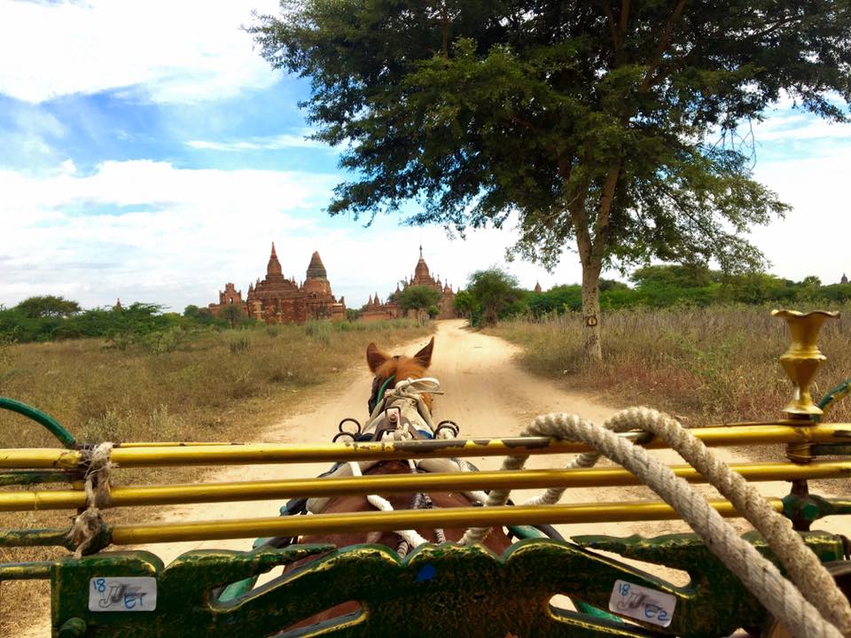 Thuê xe ngựa để thăm quan các ngôi đền khi đi du lịch Myanmar