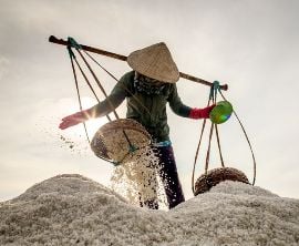 Du Lịch Bình Hưng - Ninh Chữ 3 ngày 2 đêm khuyễn mãi hội chợ ITE 2025