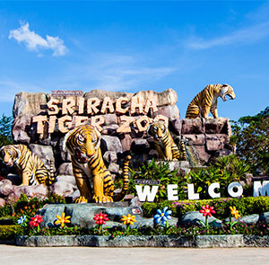 Vé tham quan Sriracha Tiger Zoo Pattaya