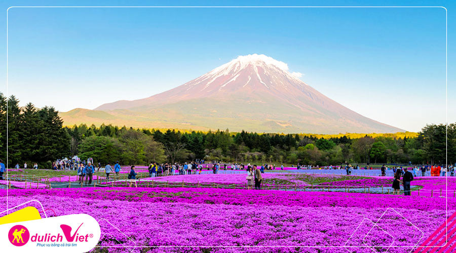 Du lịch Nhật Bản Hè - Nagoya - Kawaguchi - Fuji - Tokyo từ TPHCM
