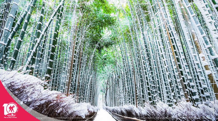 Tour du lịch Nhật Bản Nagoya - Kawaguchico - Fuji - Tokyo  mùa Đông từ Sài Gòn 2025