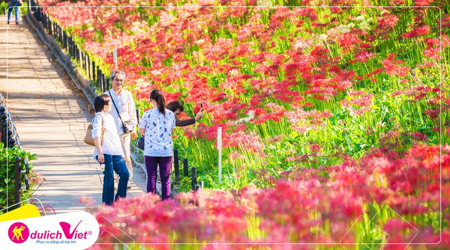 Du lịch Nhật Bản - Tour chiêm ngưỡng hoa Bỉ Ngạn đỏ rực từ Sài Gòn