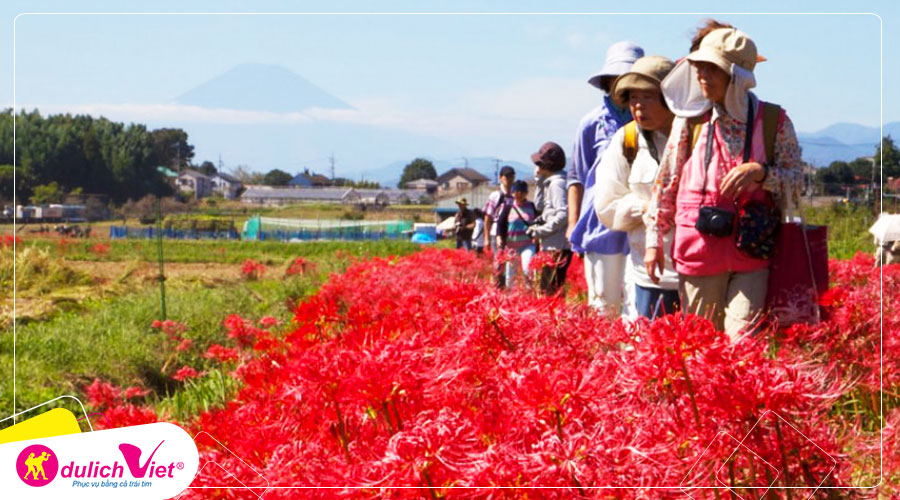 Du lịch Nhật Bản - Tour chiêm ngưỡng hoa Bỉ Ngạn đỏ rực từ Sài Gòn