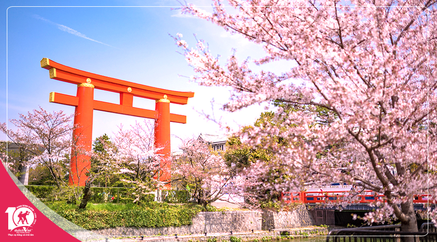 Du lịch Nhật Bản mùa Xuân - Tokyo - Hakone - Fuji - Odaiba từ TPHCM giá tốt 2025