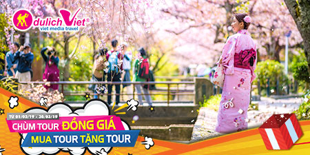 Du lịch Nhật Bản mùa Xuân - Tokyo - Hakone - Fuji - Odaiba từ TPHCM giá tốt 2025