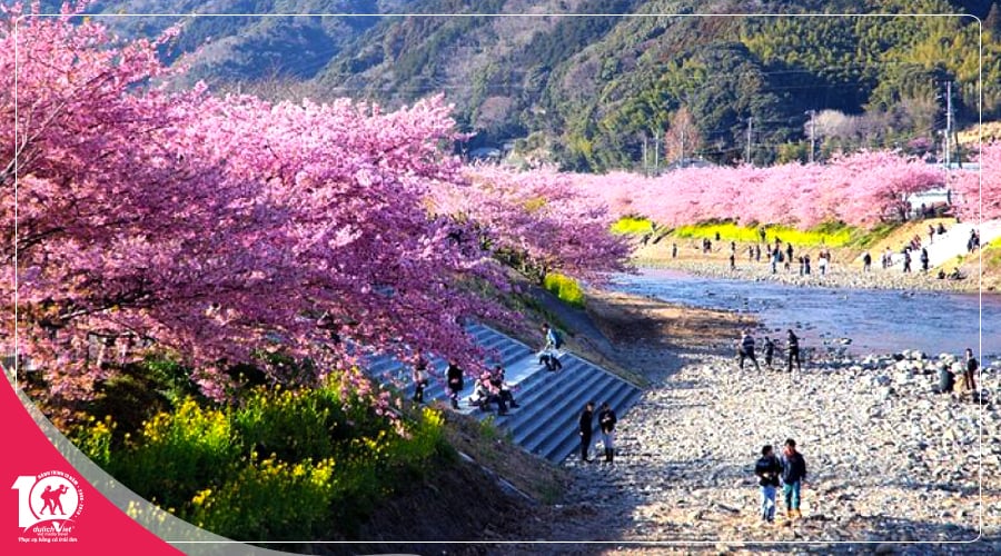 Du lịch Nhật Bản mùa Xuân - Tokyo - Hakone - Fuji - Odaiba từ TPHCM giá tốt 2025