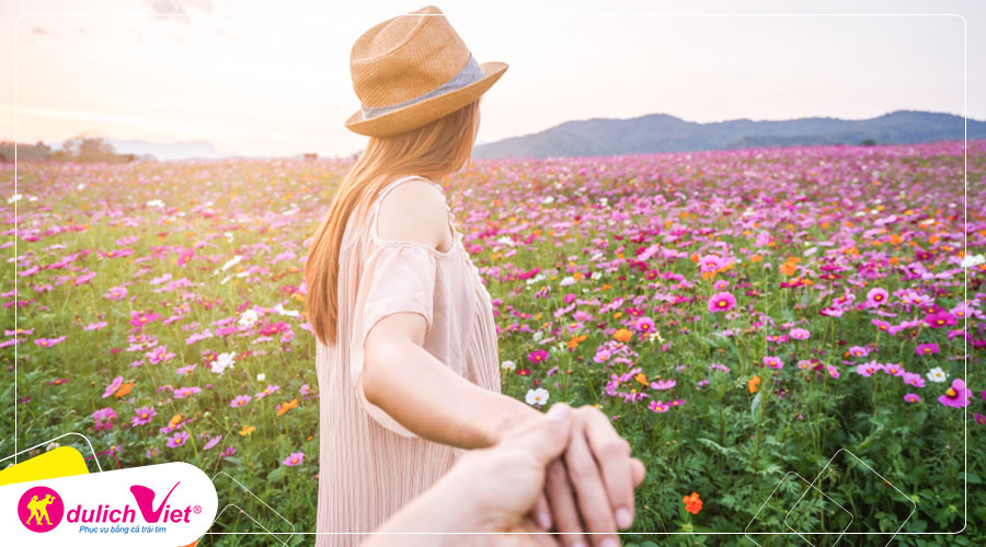 Du lịch Nhật Bản - Tour ngắm cánh đồng hoa Cosmos dưới chân núi Phú Sĩ từ Sài Gòn