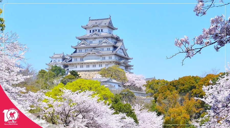 Du lịch Nhật Bản mùa Xuân - Tokyo - Hakone - Fuji - Odaiba từ TPHCM giá tốt 2025