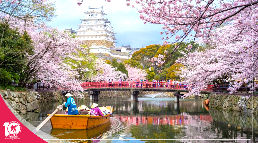 Du lịch Nhật Bản mùa Xuân - Tokyo - Hakone - Fuji - Odaiba từ TPHCM giá tốt 2025