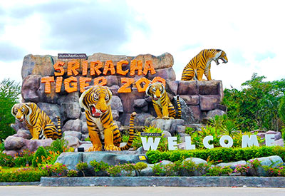 Du lịch Thái Lan Hè tham quan thủy cung Pattaya từ Sài Gòn giá tốt