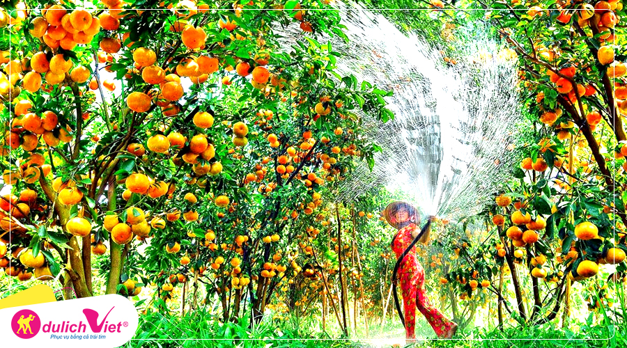 Du lịch Cần Thơ - Côn Đảo 4 ngày 3 đêm giá tốt khởi hành từ Hà Nội