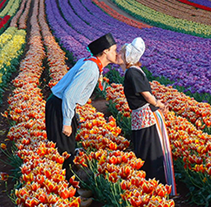 Du lịch Úc - Melbourne - Lễ hội hoa tulip 6 ngày khởi hành từ Hà Nội