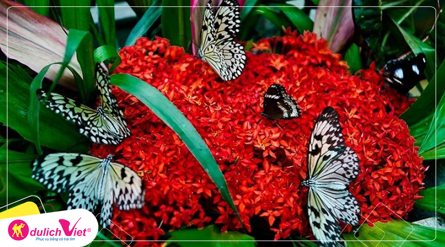 Du lịch Thái Lan: Bangkok - Pattaya mới 5 ngày giá tốt từ Hà Nội