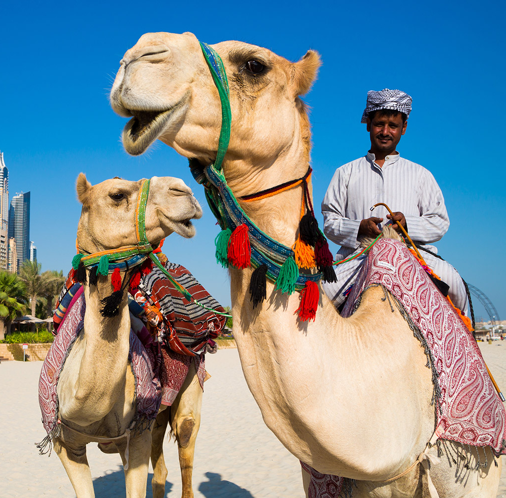 Du lịch Châu Á - Dubai - Abu Dhabi khởi hành từ Hà Nội giá tốt