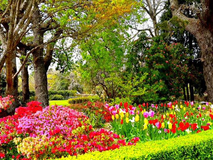 Du lịch Úc Melbourne - Sydney dịp Tết nguyên đán từ Hà Nội