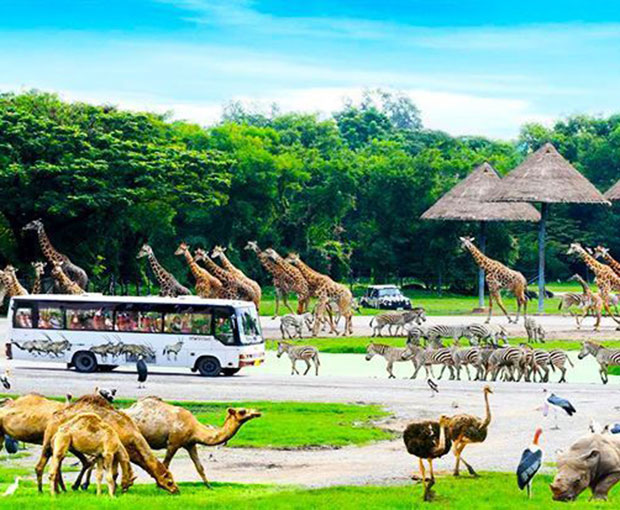 Vé tham quan Safari World Bangkok