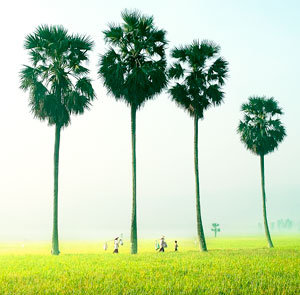 Du Lịch Miền Tây giá tốt khởi hành từ Sài Gòn (2015)