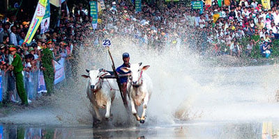 Du Lịch Miền Tây Sài Gòn - Tân Thạch - Bến Ninh Kiều (T3-2015)