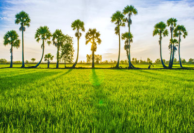 Du Lịch Miền Tây Sài Gòn - Tiền Giang - Mỹ Tho (T2-2015)