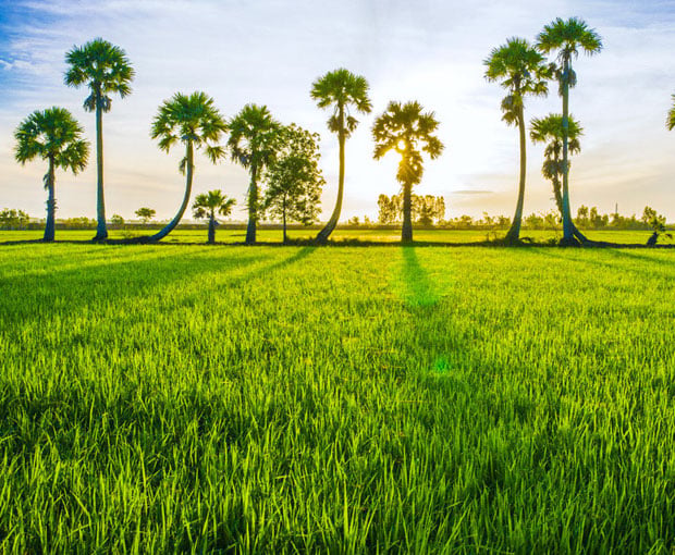 Du Lịch Miền Tây Sài Gòn - Tiền Giang - Mỹ Tho (T2-2015)