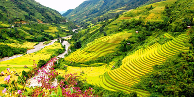 Du Lịch Miền Bắc - du lịch Tây Bắc Thiên Đường Ruộng Bậc Thang 2025
