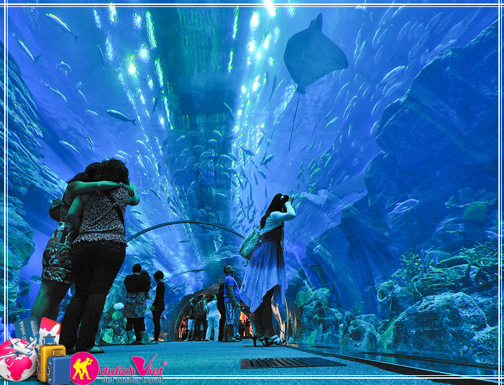 Du lịch Miền Trung - Nha Trang - Đảo Bình Hưng - Vườn Nho mùa Thu 2025