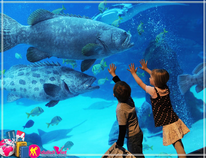 Du lịch Miền Trung - Nha Trang - Đảo Bình Hưng - Vườn Nho mùa Thu 2025