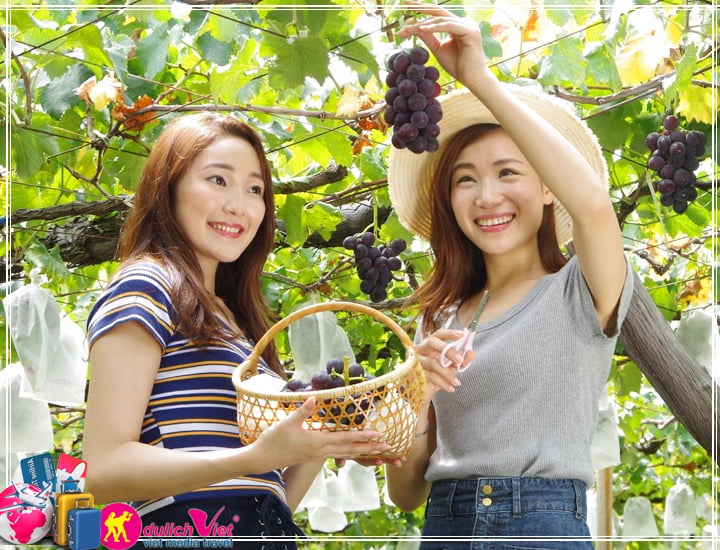 Du lịch Miền Trung - Đảo Bình Hưng - Ninh Chữ mùa Thu 2025