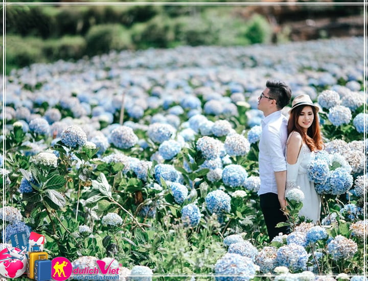 Du lịch Đà Lạt - Tham Quan Nông Trại Hoa, Vườn Rau 3 ngày dịp lễ 2/9