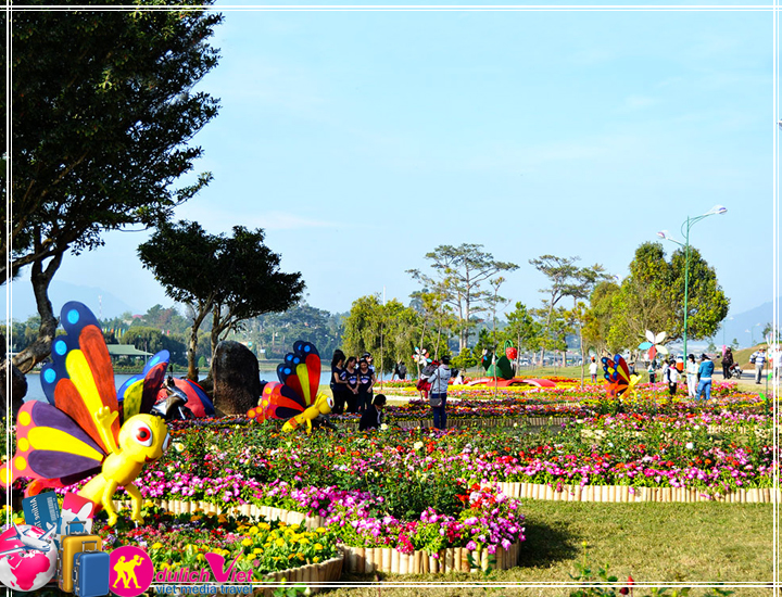 Tour Đà Lạt - Khám Phá Vườn Rau Thuỷ Canh 3 ngày Tết Dương Lịch 2025