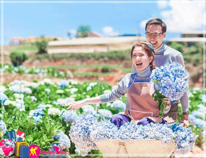 Du lịch Đà Lạt - Tham Quan Nông Trại Hoa, Vườn Rau 3 ngày dịp lễ 2/9