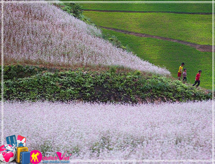 Du lịch Miền Bắc - Đông Bắc - Hà Giang 6 ngày mùa hoa Tam Giác Mạch