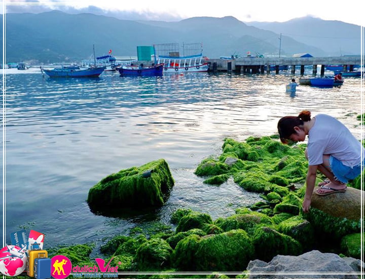 Tour Đảo Bình Hưng - Vườn Nho Ba Mọi 3 ngày 2 đêm giá tốt (T11/2025)