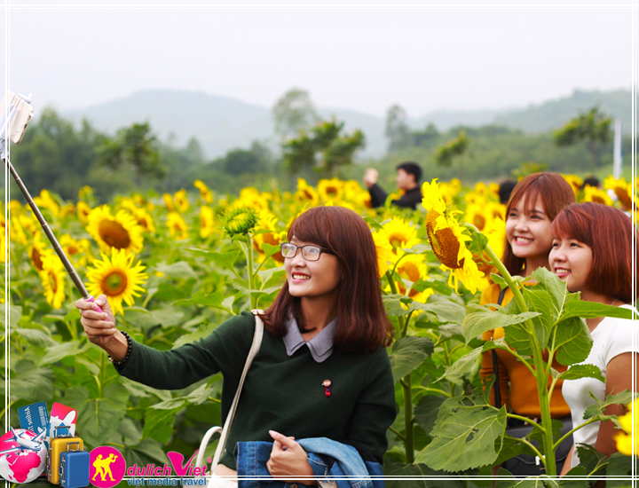Du lịch Miền Trung 4 ngày khám phá Lễ hội Hoa Hướng Dương từ Sài Gòn
