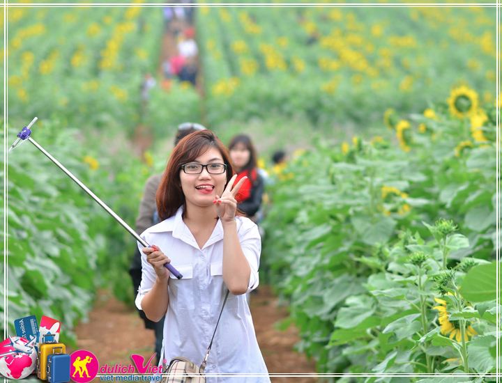 Du lịch Miền Trung 4 ngày khám phá Lễ hội Hoa Hướng Dương từ Sài Gòn