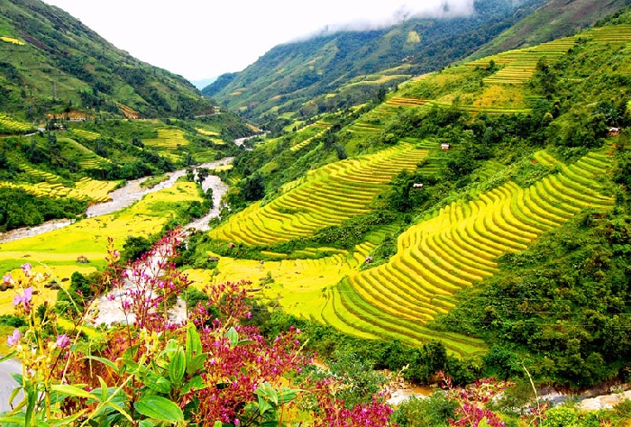 Thung lũng Mường Hoa với những thửa ruộng bậc thang
