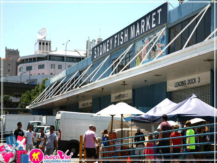 Du lịch Úc Sydney - Central Coast - Fish Market 5 ngày từ TP.HCM