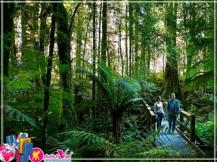 Du lịch Úc - Sydney - Central Coast - Canberra - Melbourne - Dangdenong từ Sài Gòn