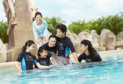 Vé tham quan Singapore Dolphin Adventure giá tốt 2025