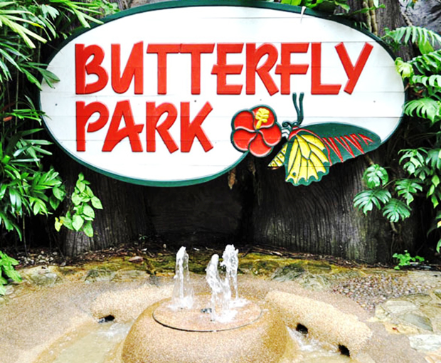 Vé tham quan Singapore Buttertly Park & Insect Kingdom giá tốt 2025