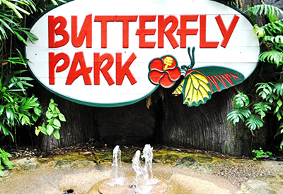 Vé tham quan Singapore Buttertly Park & Insect Kingdom giá tốt 2025